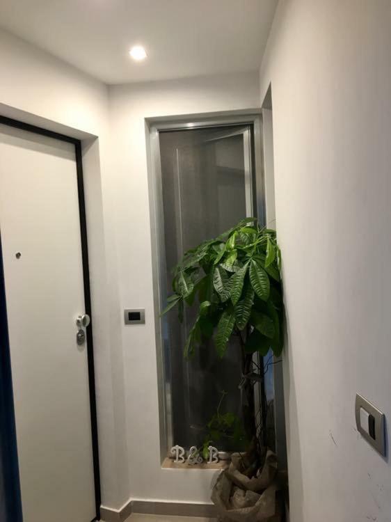 בארלטה B&B Casa Amalia מראה חיצוני תמונה